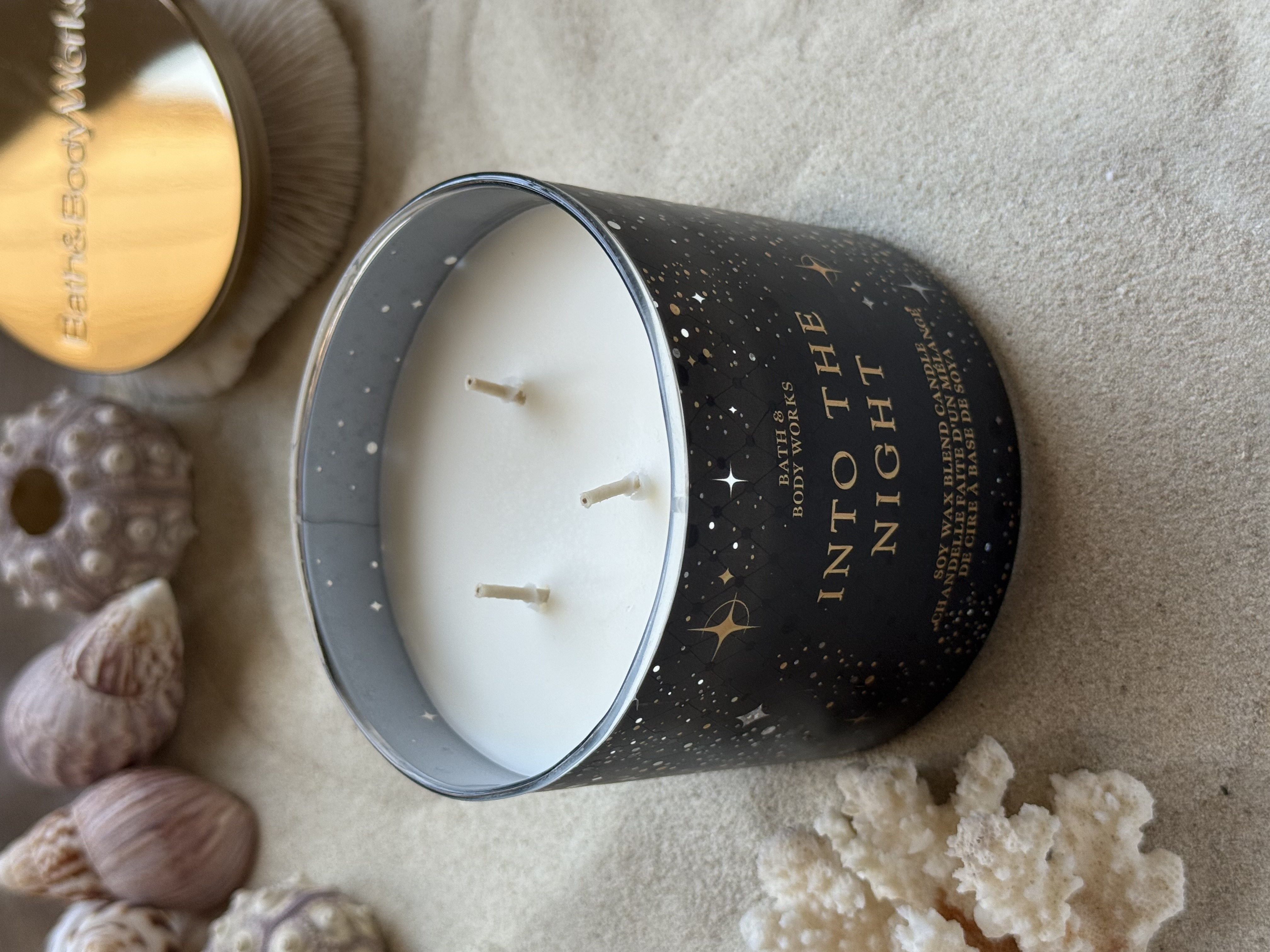 شمع معطر بث اند بادی ورکس مدل Into The Night